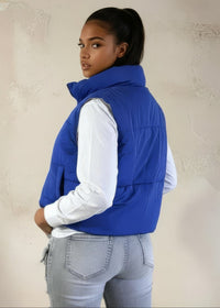 Thumbnail for Person wearing a blue puffer vest over a white shirt and gray pants against a beige wall.